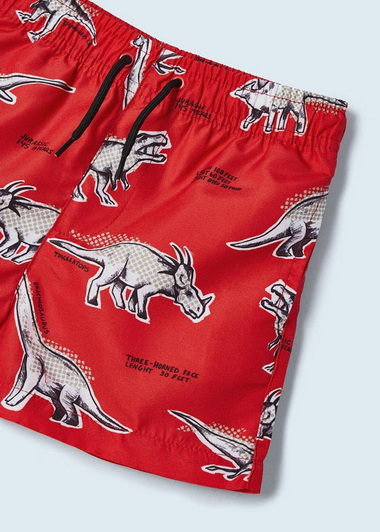 printed-swim-shorts